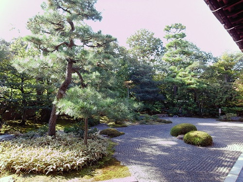 FOMOS EM BUSCA DO JAPÃO
