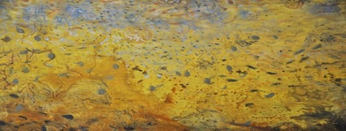 CARTAS: MANTAS DE BEIRA-MAR
