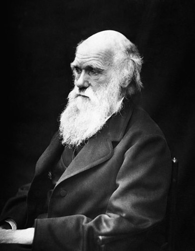Charles_Darwin.jpg Charles_Darwin.jpg