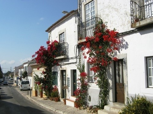 CALCORREANDO VILA FRESCA…