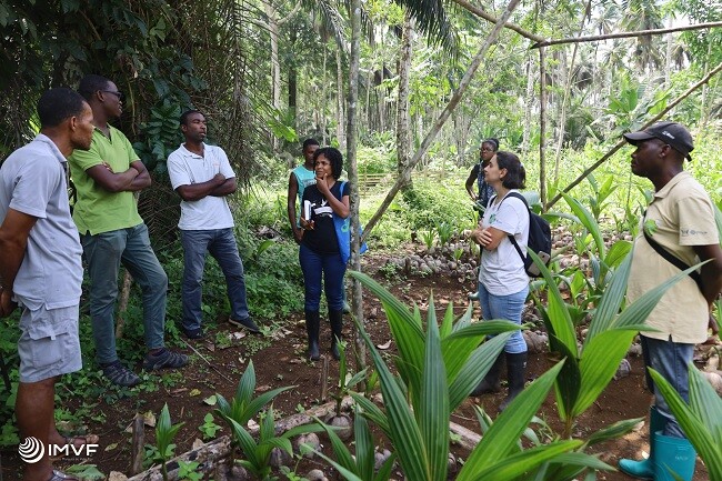 CRÓNICAS COM MEMÓRIAS DE SÃO TOMÉ
